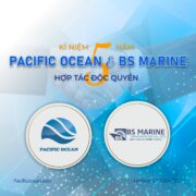 PACIFIC OCEAN AND BS MARINE CELEBRATE 5 YEARS OF EXCLUSIVE COLLABORATION